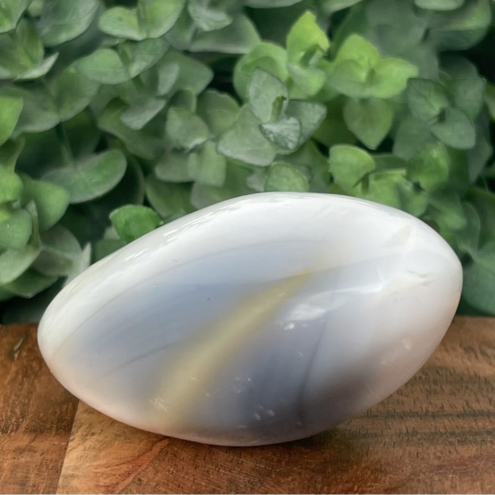 Orca Agate Palm Stone
